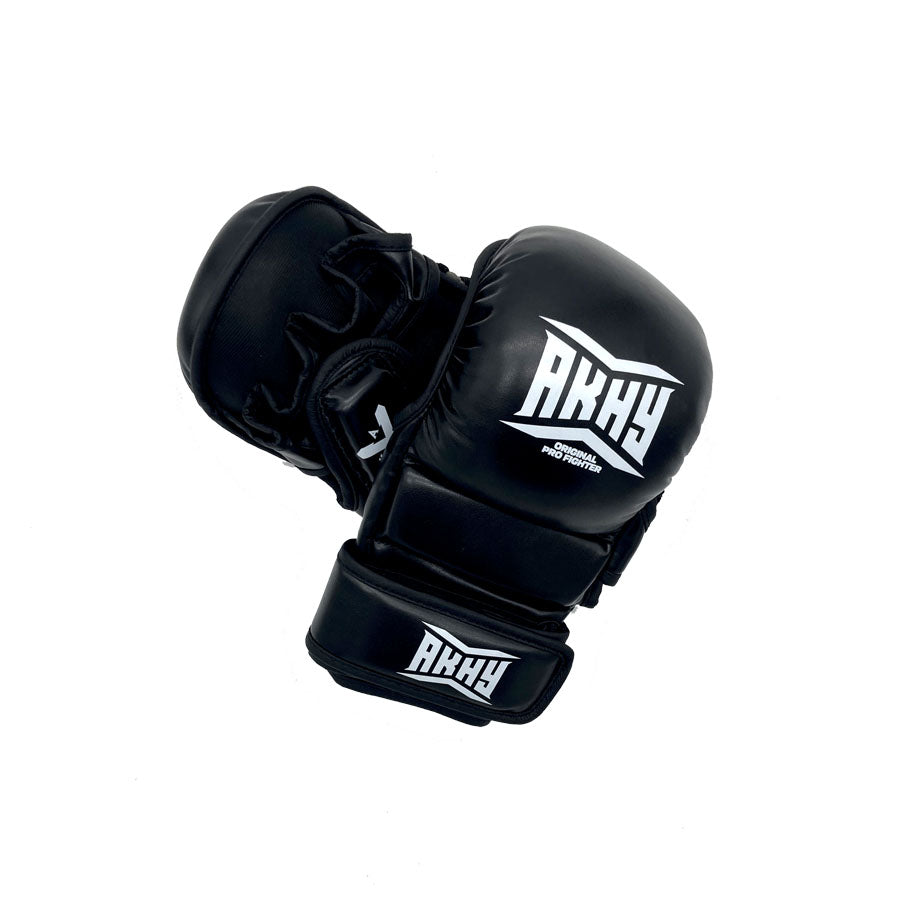 MMA Sparring