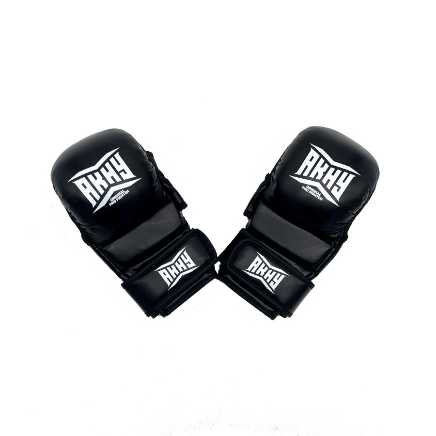 MMA Sparring