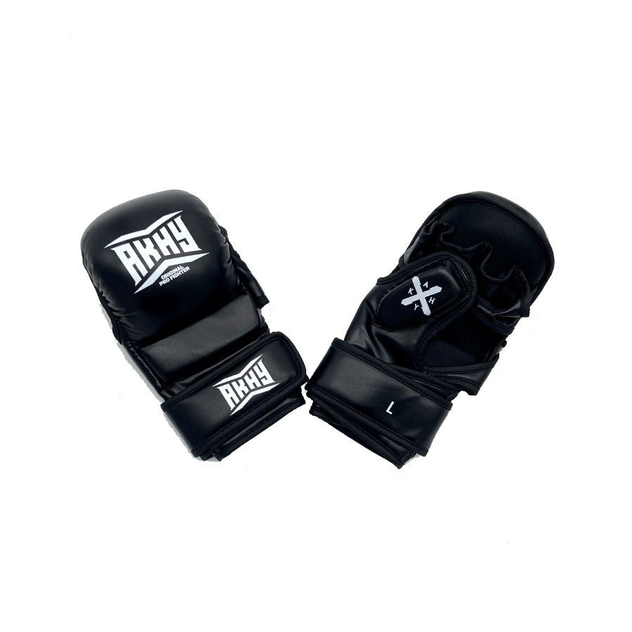 MMA Sparring