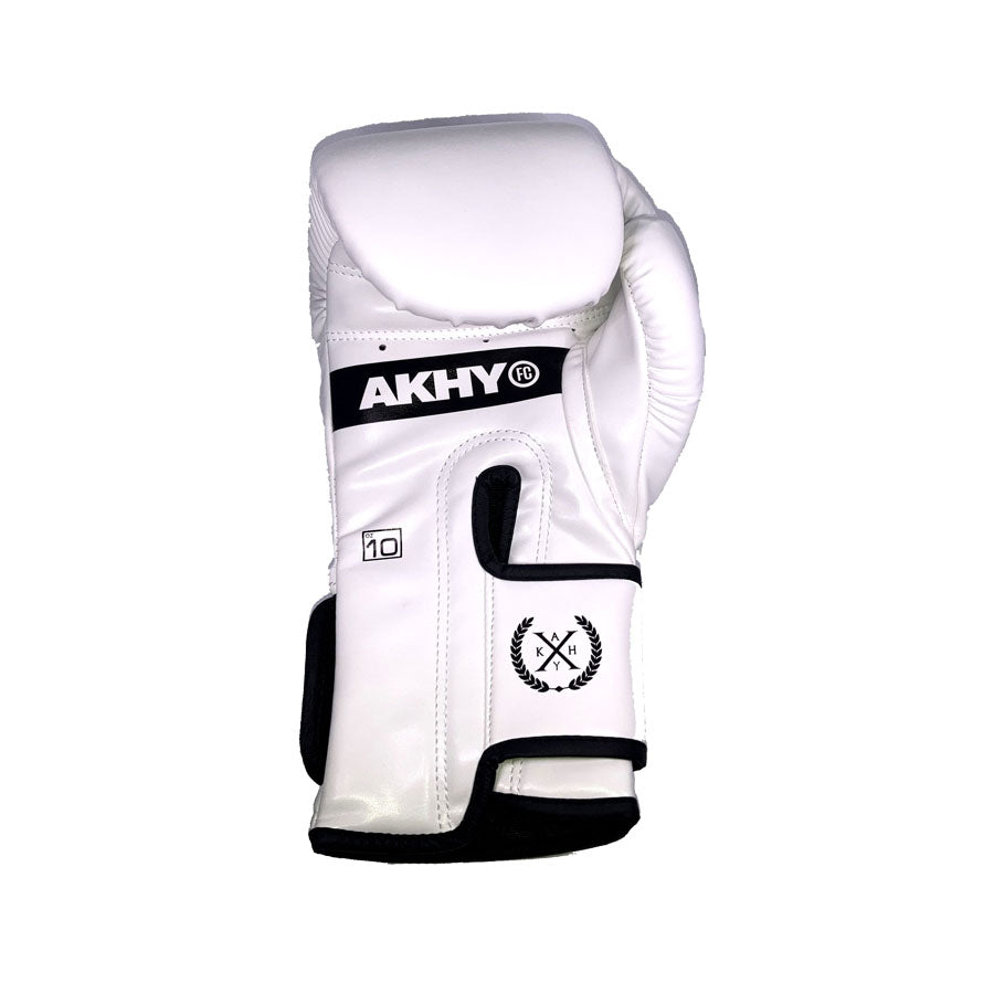 BOXING MMA GLOVES WHITE